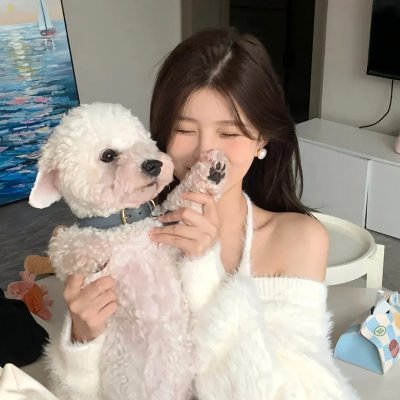 完美物质